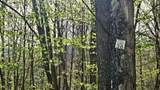 Lot 36 Hideaway - Photo 9