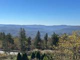 84 Black Bear Circle - Photo 2