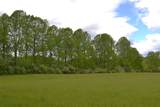 Windy Meadows Ln - Photo 20