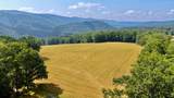 216 Bald Hills Farm Ln - Photo 70