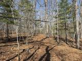 216 Bald Hills Farm - Photo 55