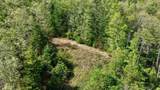 8991 Jones Mountain - Photo 14