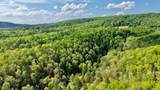 8991 Jones Mountain - Photo 5