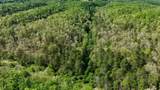 8991 Jones Mountain - Photo 7