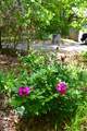 621 Fleshman Dr - Photo 26