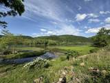 1353 New River Rd - Photo 14