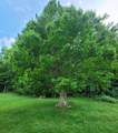 1353 New River Rd - Photo 29