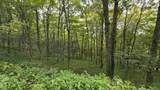 Lot 17 Eagles Nest - Photo 4