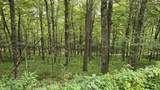 Lot 17 Eagles Nest - Photo 6