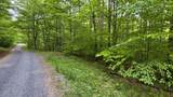 Lot 14 Roberts Ridge - Photo 10