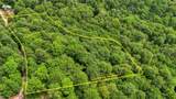 Lot 14 Roberts Ridge - Photo 12