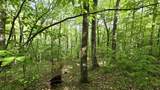Lot 14 Roberts Ridge - Photo 3