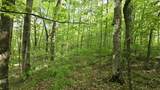Lot 14 Roberts Ridge - Photo 4