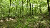 Lot 14 Roberts Ridge - Photo 5
