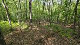Lot 14 Roberts Ridge - Photo 6