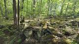Lot 14 Roberts Ridge - Photo 7