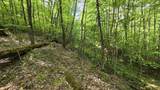 Lot 14 Roberts Ridge - Photo 8