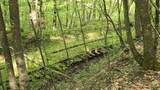 Lot 14 Roberts Ridge - Photo 9