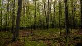  Coleman Cliff - Photo 10