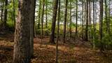  Coleman Cliff - Photo 13