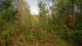  Coleman Cliff - Photo 8