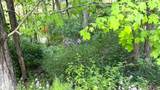 613 Everett Tibbs Rd - Photo 5