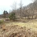 3259 Julia Rd - Photo 25
