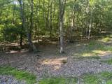 34 Wild Wood Ridge - Photo 4