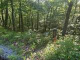 34 Wild Wood Ridge - Photo 5