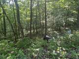 34 Wild Wood Ridge - Photo 6
