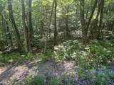 34 Wild Wood Ridge - Photo 7
