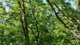 Lot #84; White Rock Trail - Photo 16