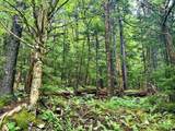 1115 N. West Ridge Rd - Photo 71