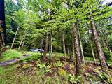 1115 N. West Ridge Rd - Photo 79