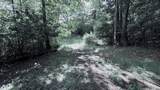 58 Smokey Br Rd - Photo 14