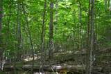  Cold Hollow Rd - Photo 16