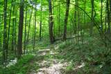  Cold Hollow Rd - Photo 20