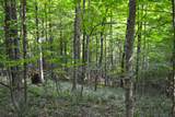  Cold Hollow Rd - Photo 22