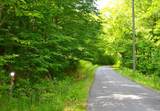  Cold Hollow Rd - Photo 4