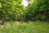  Cold Hollow Rd - Photo 5