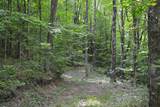  Cold Hollow Rd - Photo 8
