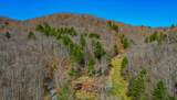927 Bluestone River Rd - Photo 6
