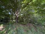 95 & 153 Lightfoot Lane - Photo 34