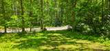  Big Creek Rd - Photo 18