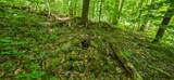  Big Creek Rd - Photo 8