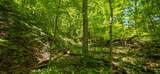  Big Creek Rd - Photo 9