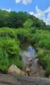 333 Fleshman Hollow Rd - Photo 12