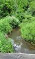 333 Fleshman Hollow Rd - Photo 6
