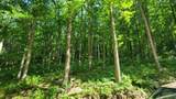 333 Fleshman Hollow Rd - Photo 7