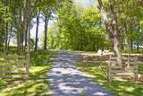 1517 Old Powell Rd - Photo 61